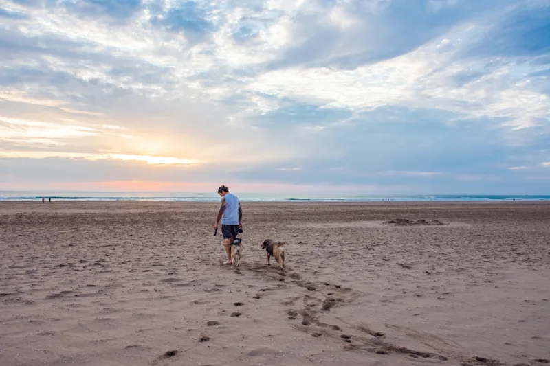 A sunset dog walk on Woolacombe Beach, North Devon, UK