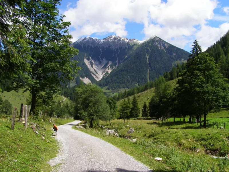 Alpsemester med stuga i Vorarlberg