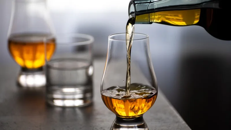 Pouring in tulip-shaped tasting glass Scotch single malt or blended whisky