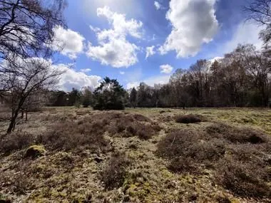 Vakantiehuis in Twente 