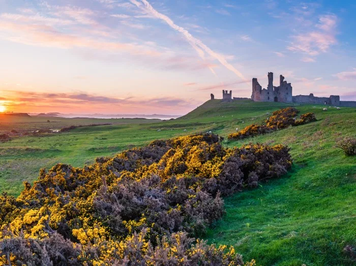 Dunstanburgh Castle Panorama at Sunset / Located between Craster and Embleton in Northumberland on the North East Coast