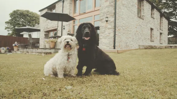 Multi-dog holiday cottages