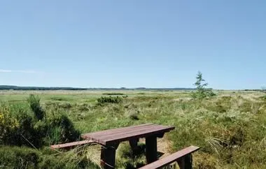 Lej sommerhus ved Tranum Strand midt i hedelandskabet 