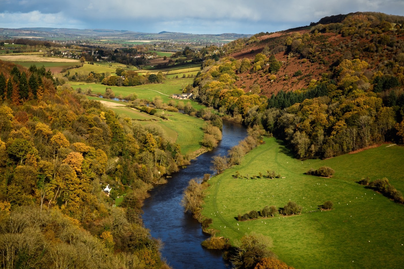 Holiday cottages wye valley best sale dog friendly