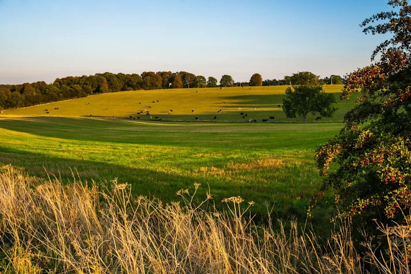 Broadway countryside