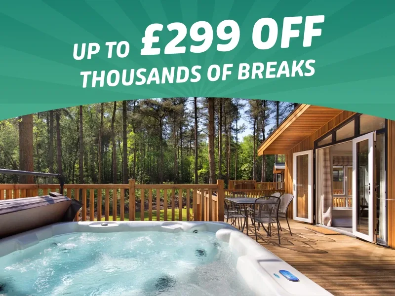 Bank Holiday savings