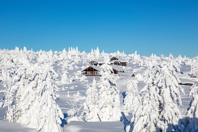 Lei Hytte I Trysil | Finn Inspirasjon Og Overnatting Til Ferien