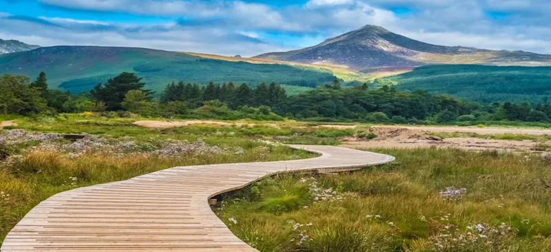 Isle of Arran cottages