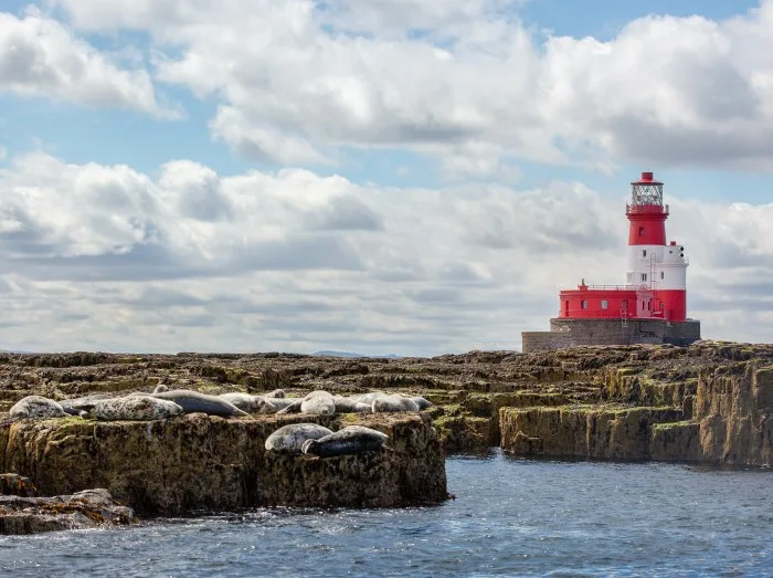 lighthouse on the coast farne island