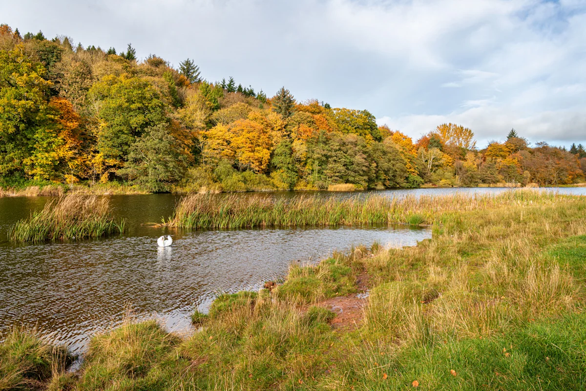 Duns holiday cottages