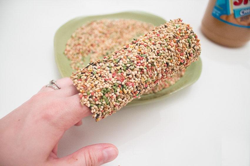 Home Made Bird Feeder