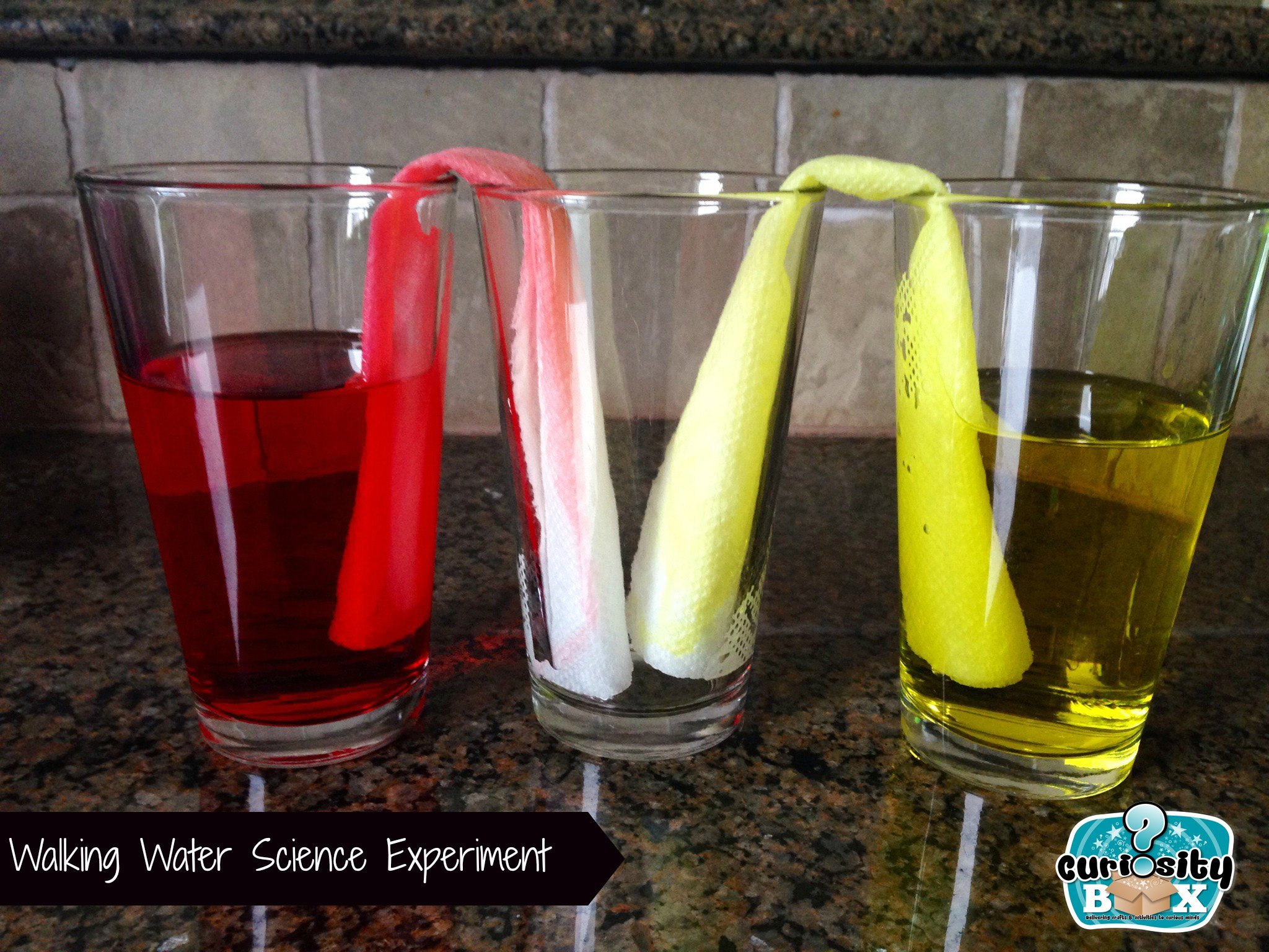 Walking Water Science Experiment