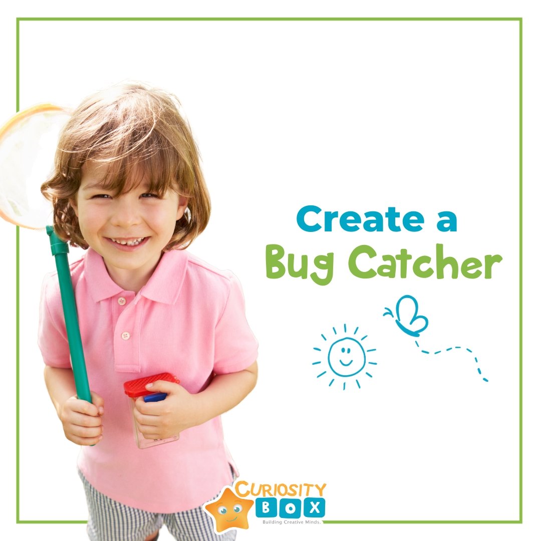 Create a Bug Catcher