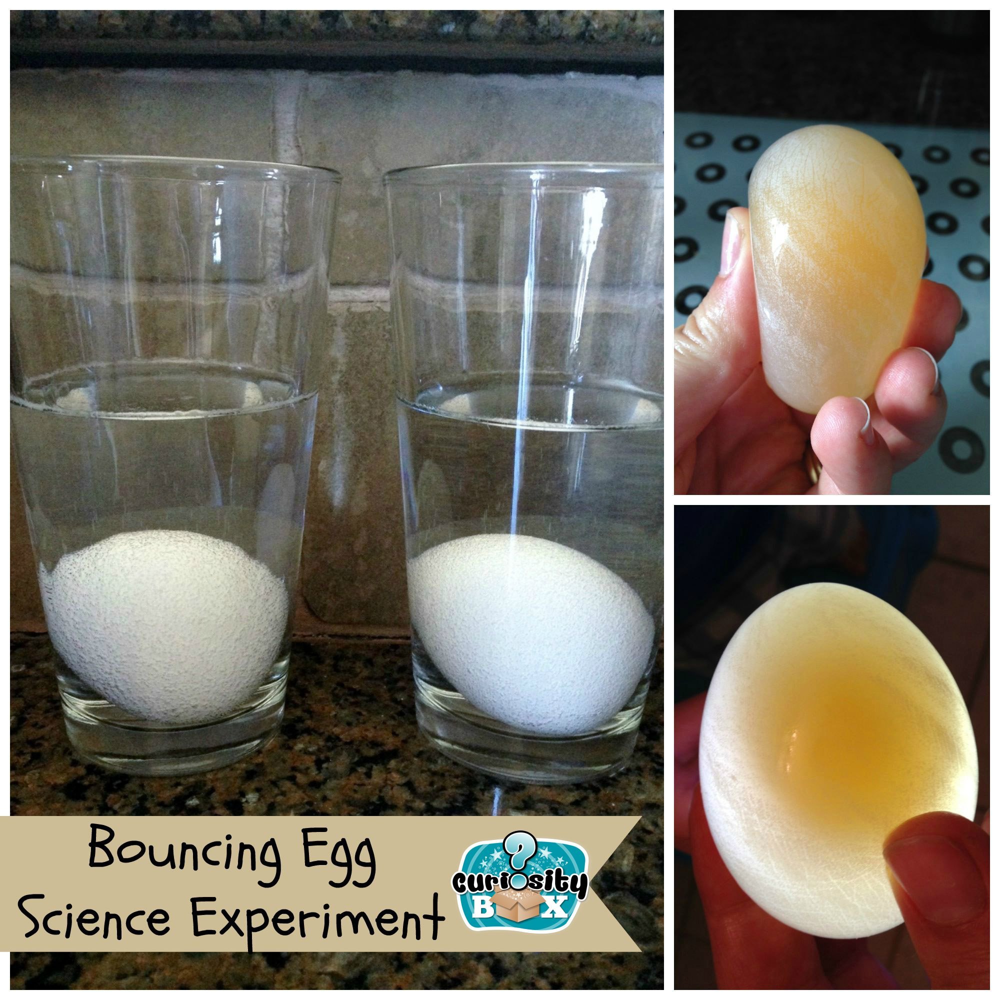 Bouncing Egg Experiment