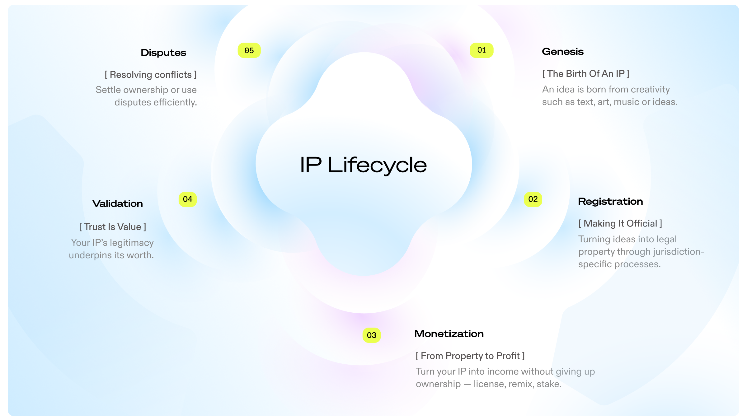 IP_Lifecycle_content