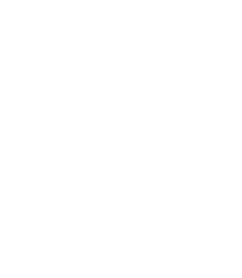 Voss Logo