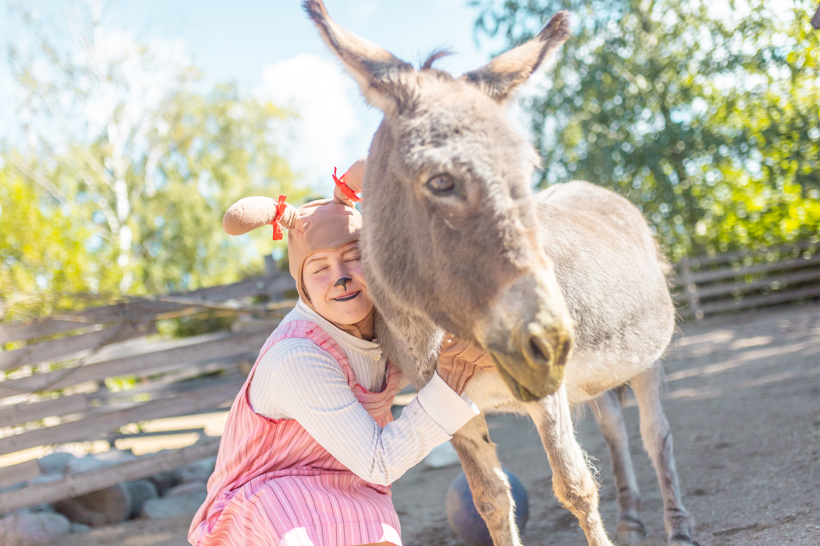 Doghill Fairytale Farm | Särkänniemi