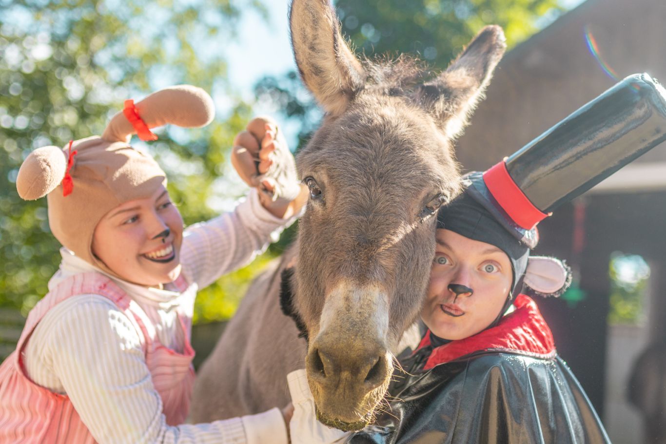 Donkey with Doghill's characters