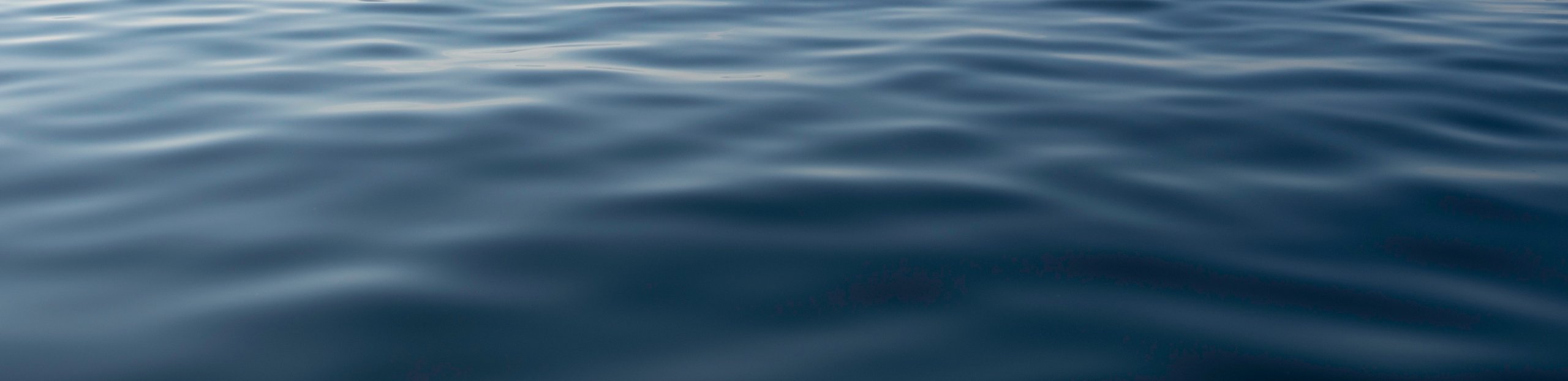 NACHHALTIGKEIT BEI TOM TAILOR