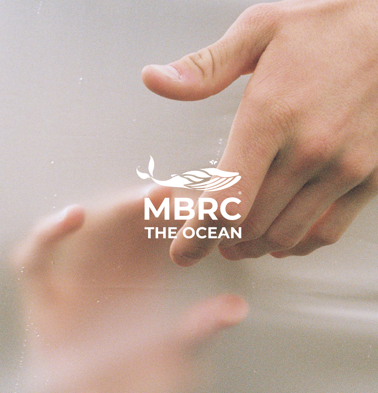 Was macht MBRC®?