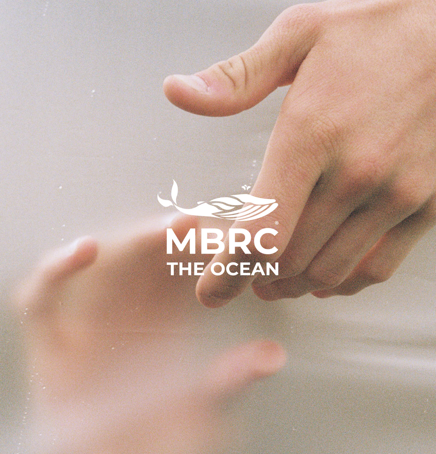 Was macht MBRC®?