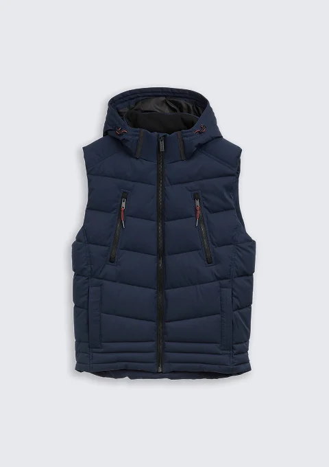 02 cat Vest d-1