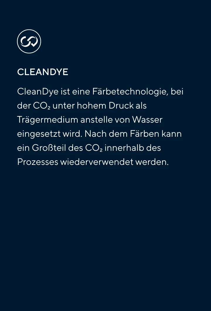 Verfahren 2 Cleandye