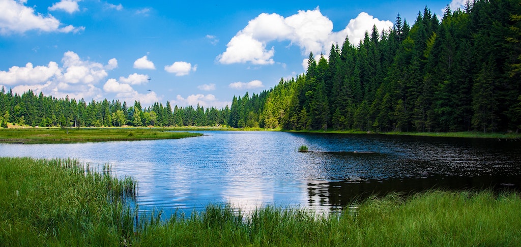 Forging a Sustainable Future: The Carbon Credit Trading and Benefit Sharing Bill, 2023