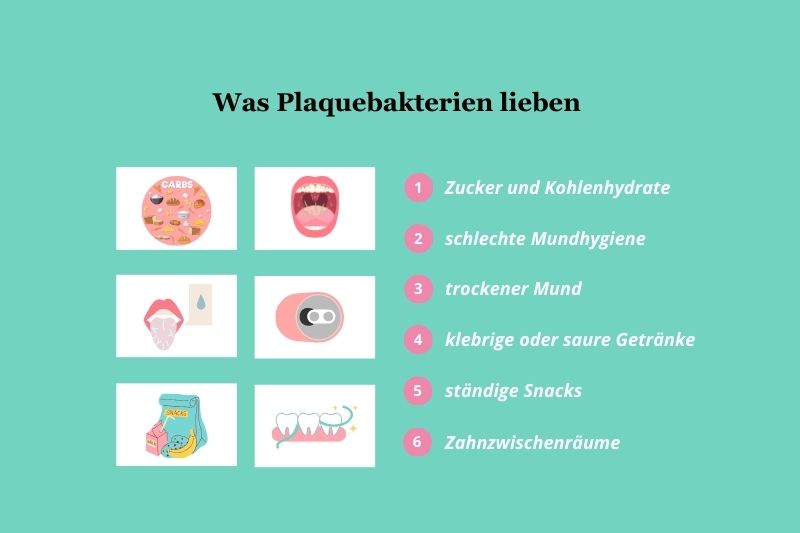 Plaquebakterien lieben ...