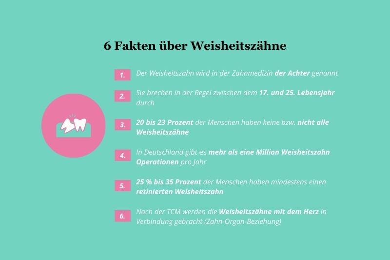 Fakten über Weisheitszähne