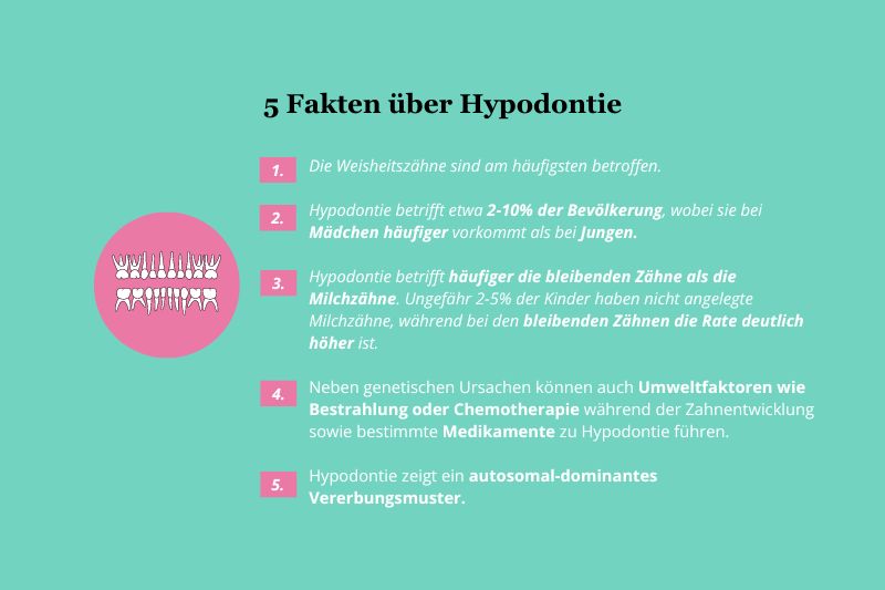 5 Fakten über Hypodontie