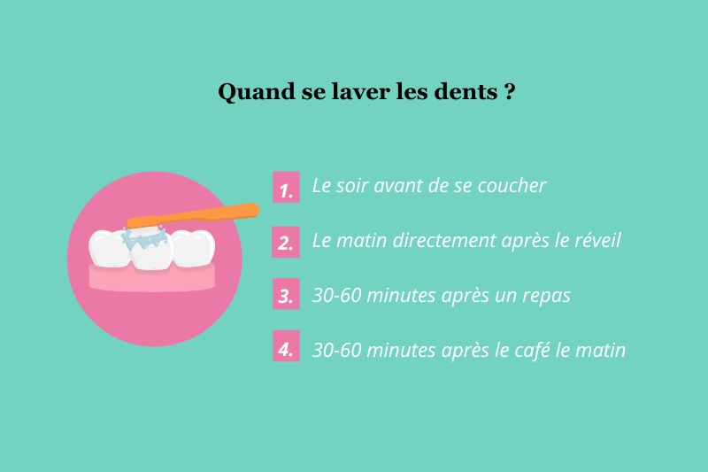 Guide illustré de quand faut-il se brosser les dents