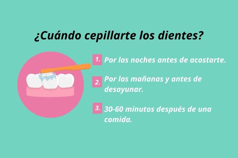 Infografía cuándo cepillarte los dientes