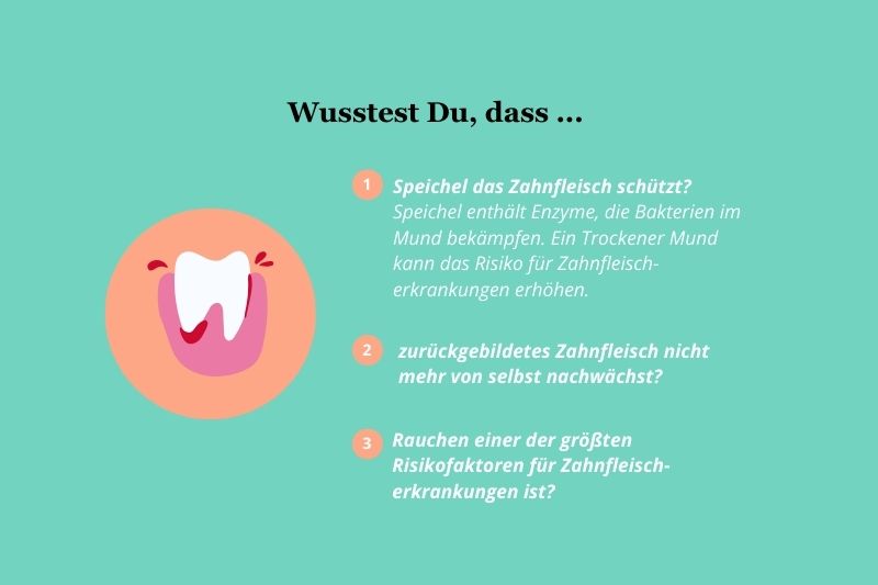 Wusstest Du, dass (Fakten uÌber das Zahnfleisch)