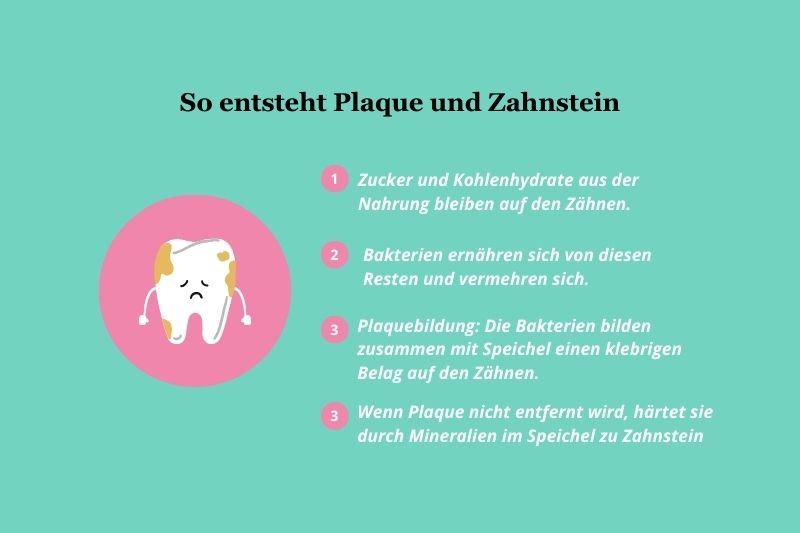 So entsteht Plaque und Zahnstein