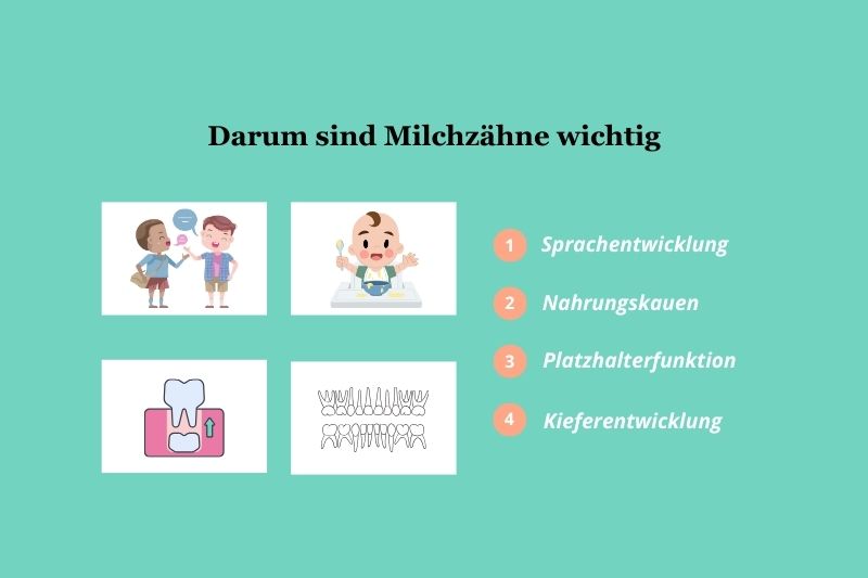 Milchzähne sind wichtig