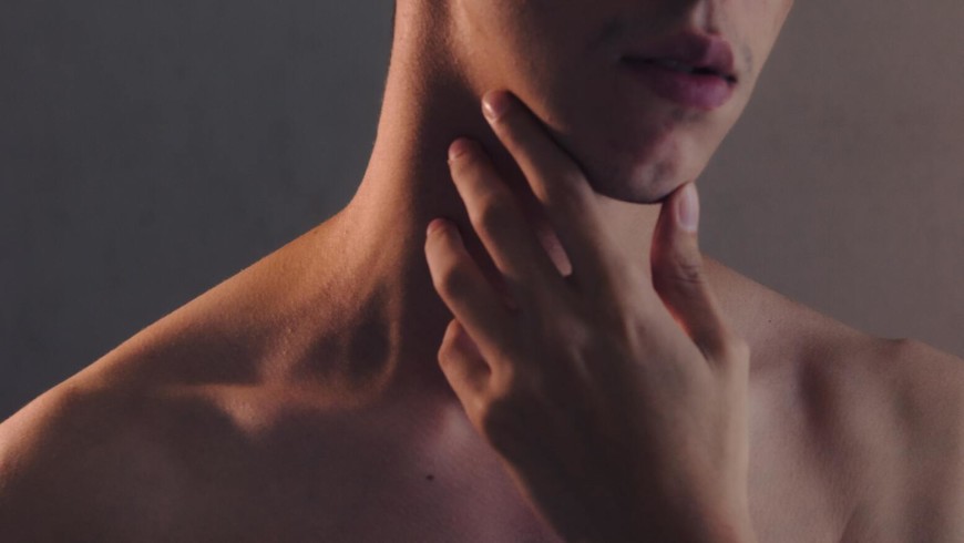 Jaw muscles