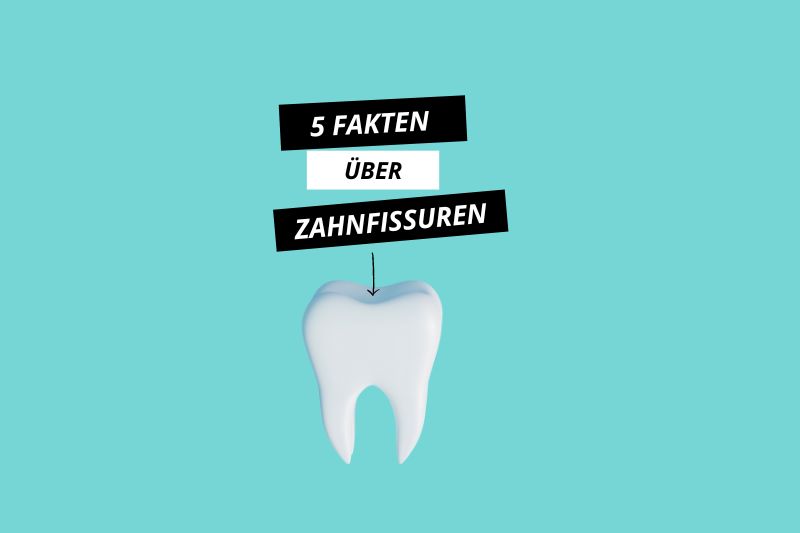 Fakten über die Zahnanatomie