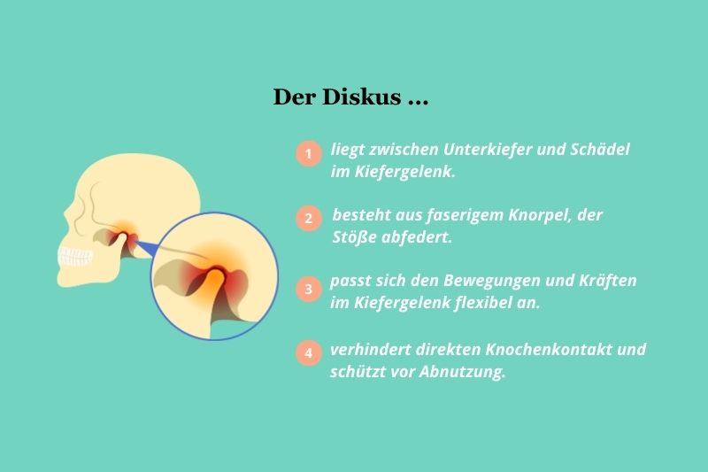 So funktioniert unser Kiefer
