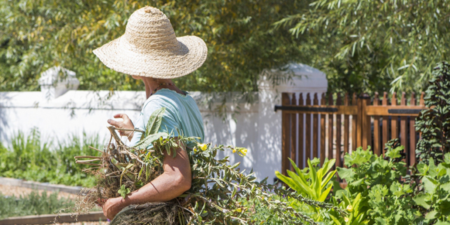Gundula-garden-image1-1