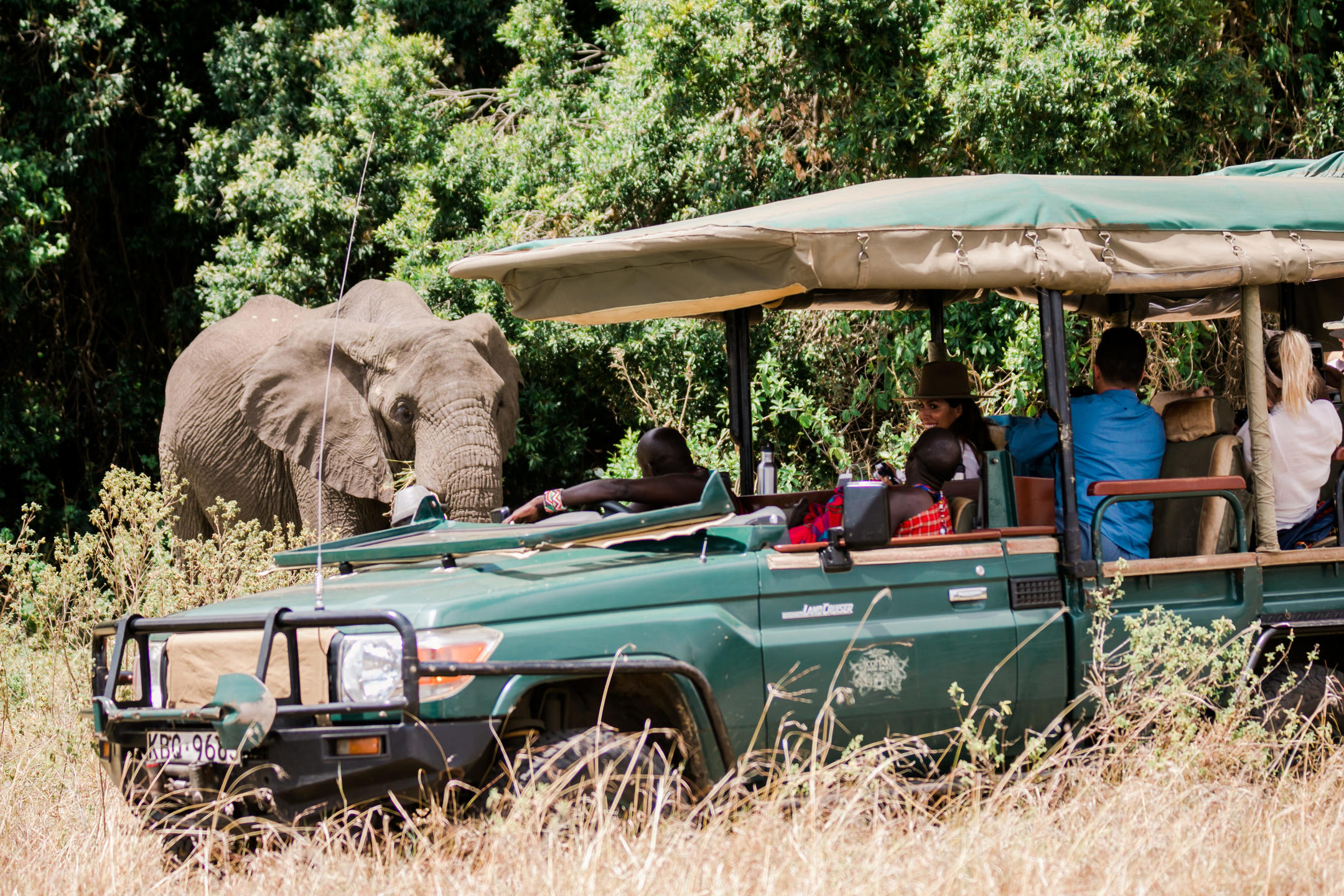 Family Seeing Elephants on Safari Game Drive with ROAR AFRICA