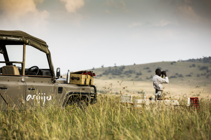 ROAR AFRICA Luxury Destination Kenya Game Drives