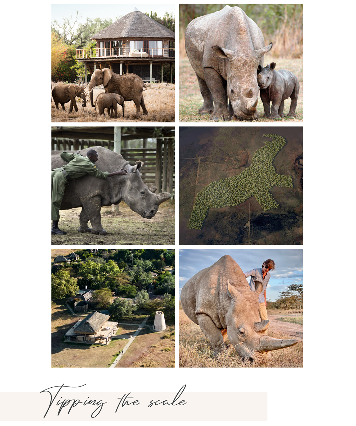 Rhino Sanctuary 2