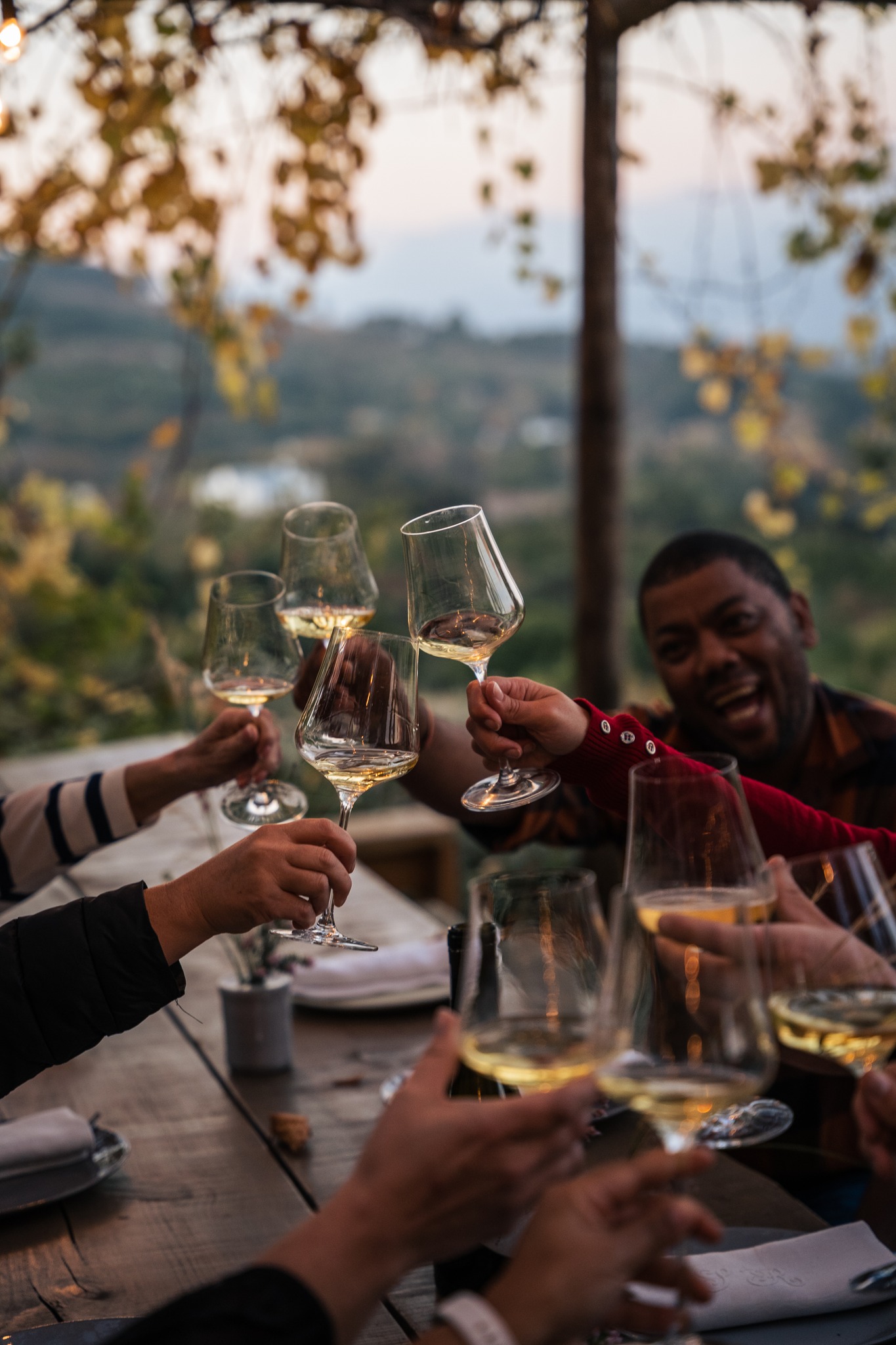 Tasting Capensis Wines Private Wine Tasting cheers Stellenbosch Winelands