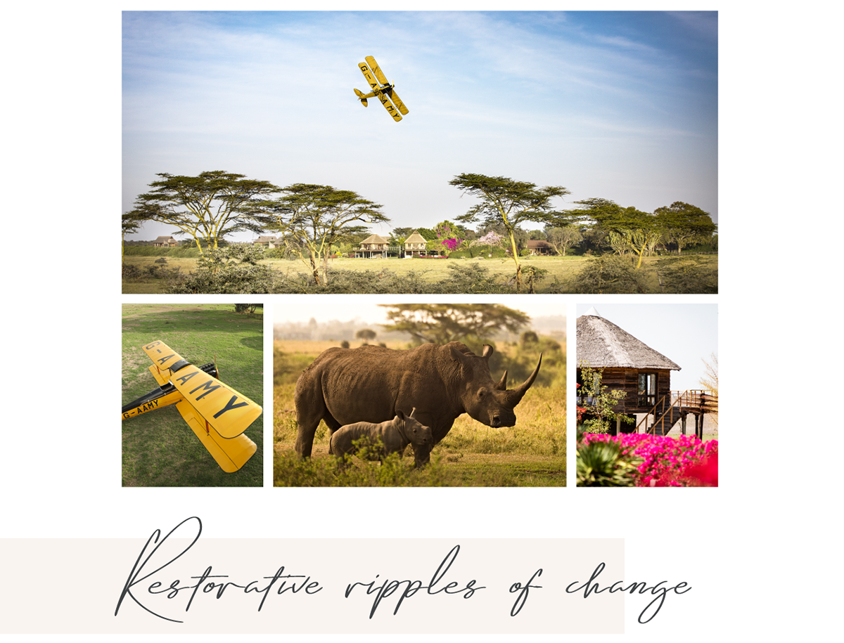 Rhino Sanctuary 4