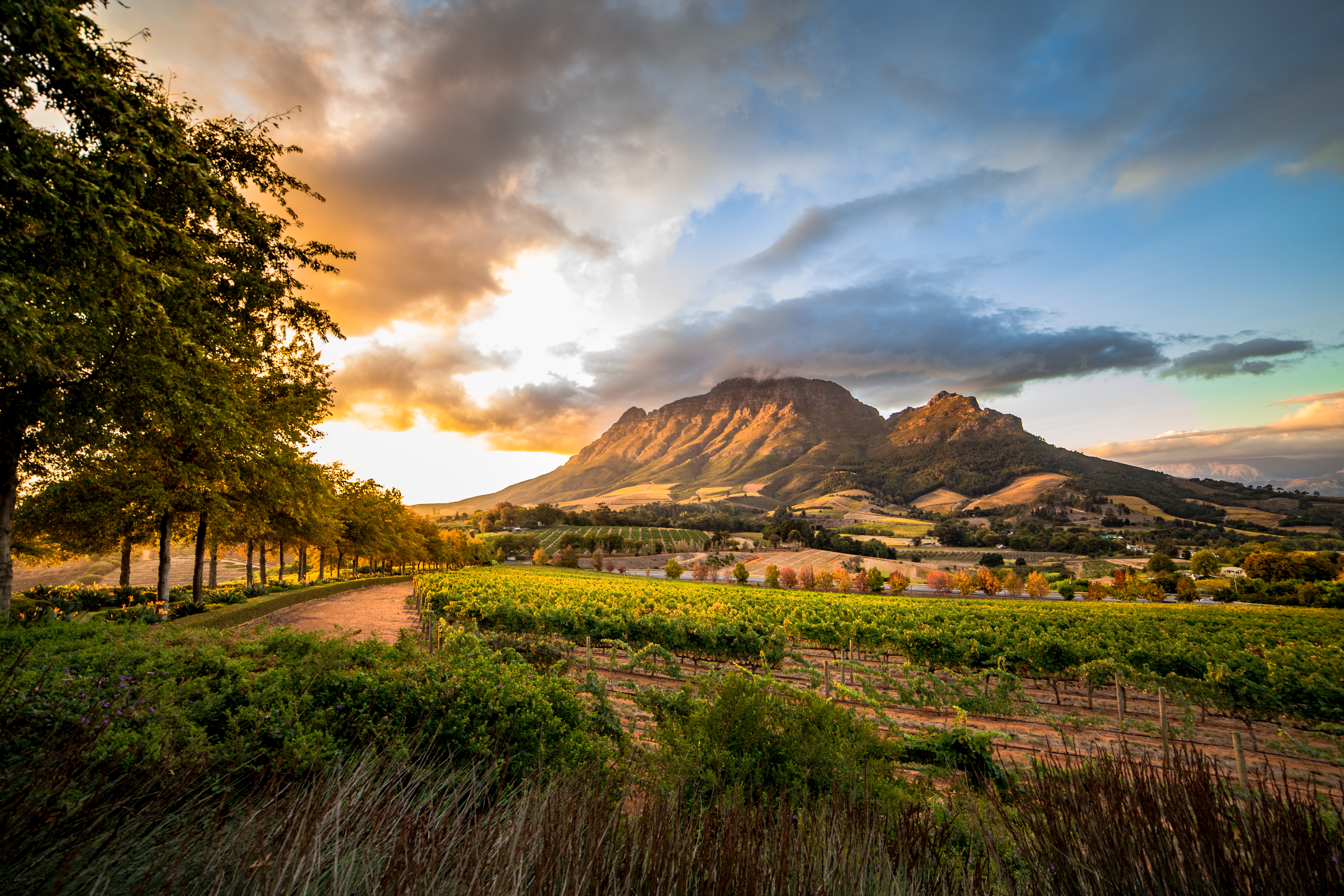 Cultural Experiences, Stellenbosch, Cape Town