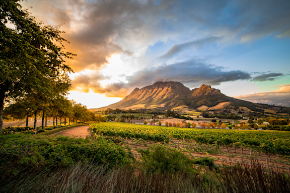Cultural Experiences, Stellenbosch, Cape Town