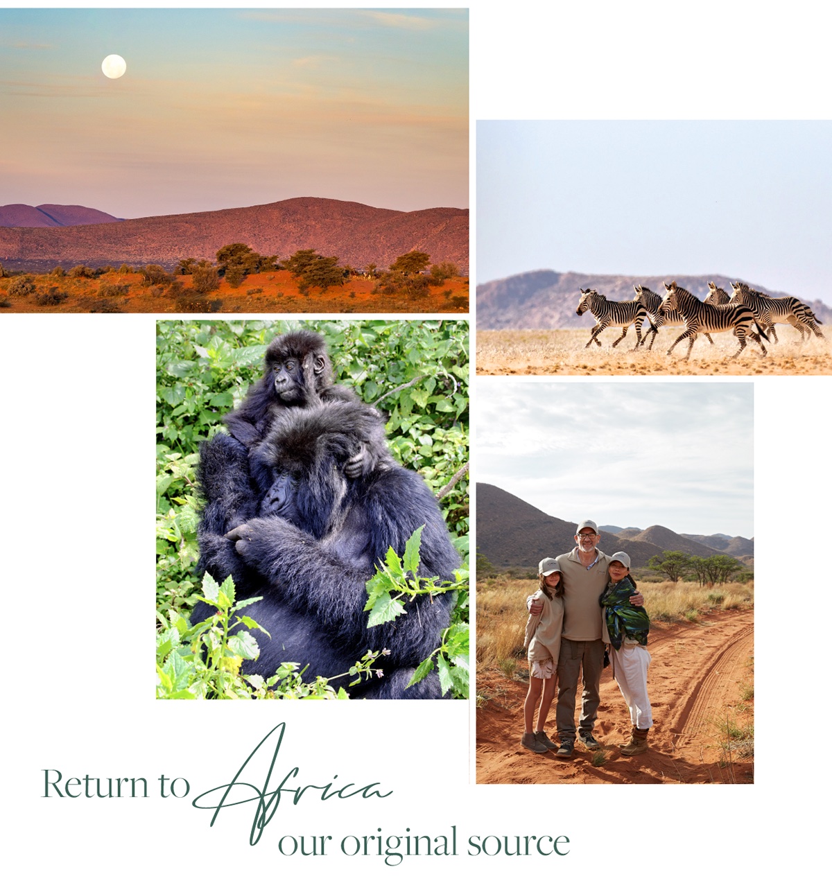 Returning to Africa, our original source