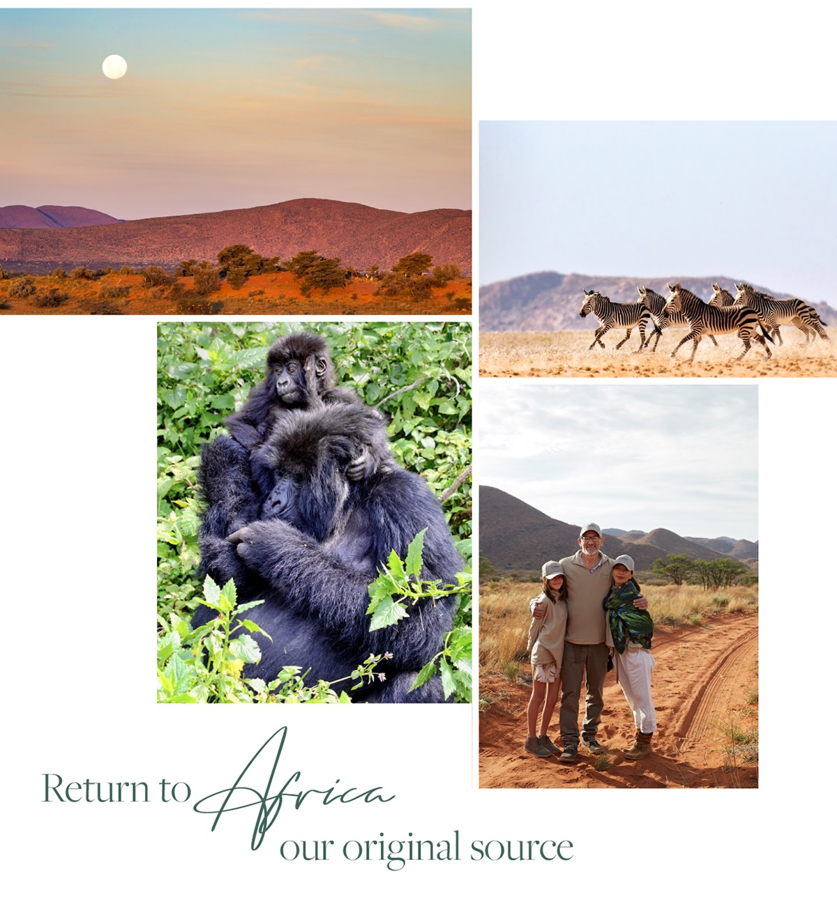 Returning to Africa, our original source
