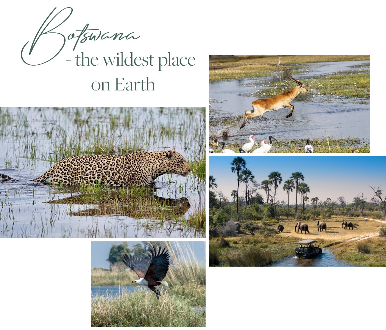 Botswana - wildest place on earth